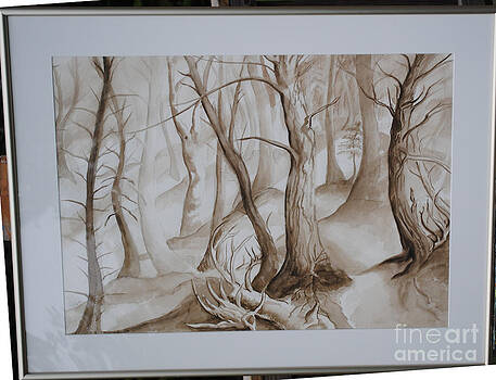 Cori Caputo - island forest 1 Cori Caputo - island forest 1