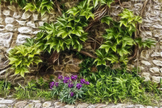 Wes and Dotty Weber - Ivy Covered Stone Wall Wes and Dotty Weber - Ivy Covered Stone Wall