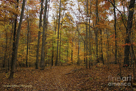 Barbara Bowen - Jenkins Gap Trail Barbara Bowen - Jenkins Gap Trail