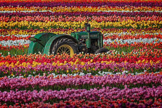 Wes and Dotty Weber - John Deere And A Few Tulips Wes and Dotty Weber - John Deere And A Few Tulips