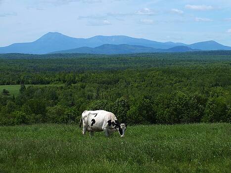 Gene Cyr - Katahdin in Spring Gene Cyr - Katahdin in Spring