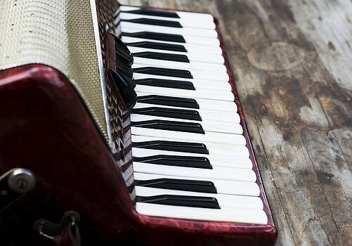 Newnow Photography By Vera Cepic - Keyboard of accordian Newnow Photography By Vera Cepic - Keyboard of accordian