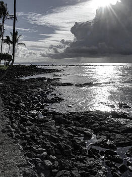 Daniel Hagerman - KONA ROCK BEACH - HAWAII Daniel Hagerman - KONA ROCK BEACH - HAWAII