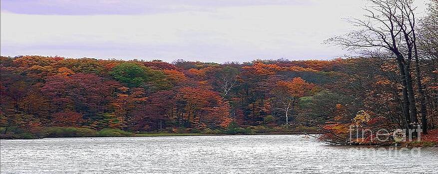 Gena Weiser - Lake at Hinckley Reservation 2 - Panorama Gena Weiser - Lake at Hinckley Reservation 2 - Panorama