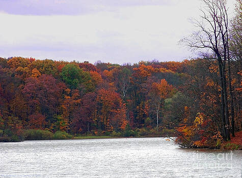 Gena Weiser - Lake at Hinckley Reservation 2 Gena Weiser - Lake at Hinckley Reservation 2