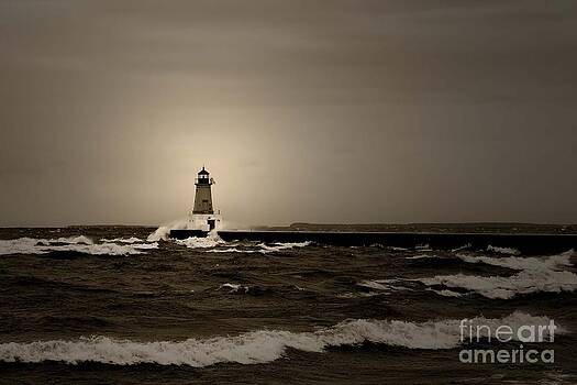 Ms Judi - Lighthouse Spray Ms Judi - Lighthouse Spray