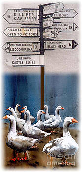 Val Byrne - LISDOONVARNA which way Val Byrne - LISDOONVARNA which way