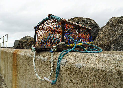 Eliza Donovan - Lobster Net Eliza Donovan - Lobster Net