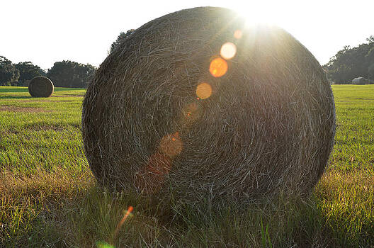 Randi Kuhne - Make Hay While the Sun Shines Randi Kuhne - Make Hay While the Sun Shines