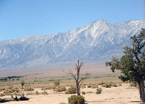 Harold E McCray - Manzanar-Sierra Nevada Mountains I Harold E McCray - Manzanar-Sierra Nevada Mountains I
