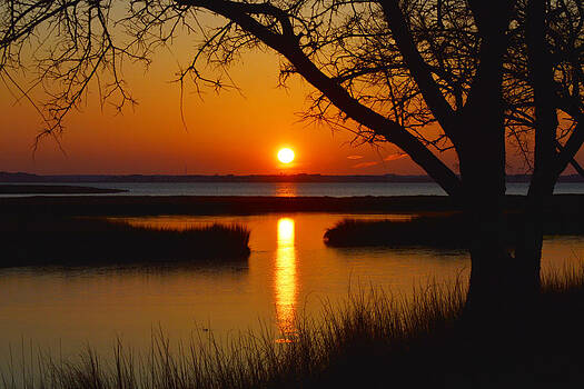 Bill Swartwout Fine Art Photography - Ocean City Sunset at Old Landing Road Bill Swartwout Fine Art Photography - Ocean City Sunset at Old Landing Road