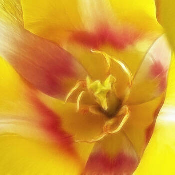 Wes and Dotty Weber - Mellow Yellow Wes and Dotty Weber - Mellow Yellow