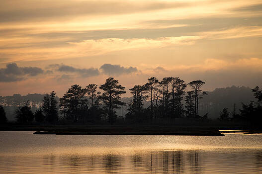 Bill Swartwout Fine Art Photography - Misty Island of Assawoman Bay Bill Swartwout Fine Art Photography - Misty Island of Assawoman Bay