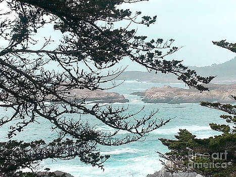 DJ Laughlin - Monterey Bays Coastal View DJ Laughlin - Monterey Bays Coastal View