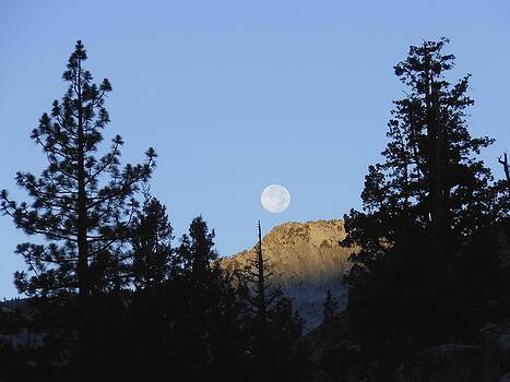 Don Kreuter - Moon Setting in Pines at Sunrise Don Kreuter - Moon Setting in Pines at Sunrise