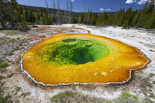 Duncan Usher - Morning Glory Pool Yellowstone Wyoming Duncan Usher - Morning Glory Pool Yellowstone Wyoming