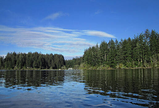 Lara Ellis - Morning on Siltcoos Lake 1 Lara Ellis - Morning on Siltcoos Lake 1