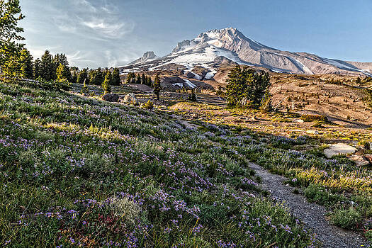 Wes and Dotty Weber - Mt Hood Summertime Wes and Dotty Weber - Mt Hood Summertime