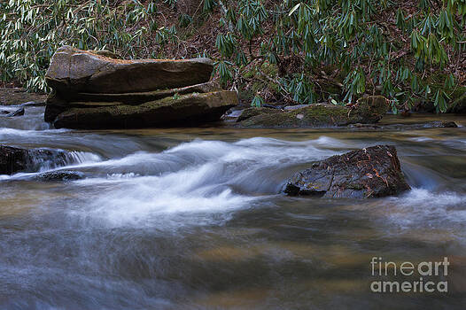 Paul Rebmann - Noontootla Creek #1 Paul Rebmann - Noontootla Creek #1