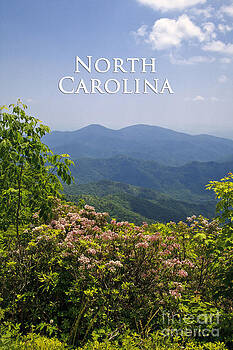 Jill Lang - North Carolina Mountains Jill Lang - North Carolina Mountains