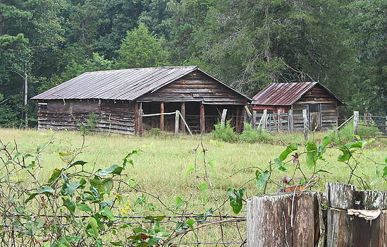 Cathy Lindsey - Old Barn and Shack Cathy Lindsey - Old Barn and Shack