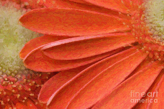 Jill Lang - Orange Gerber Daisy Painting Jill Lang - Orange Gerber Daisy Painting