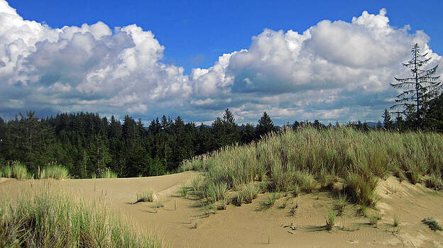Lara Ellis - Oregon Dunes 1 Lara Ellis - Oregon Dunes 1