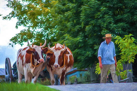 Chris Bordeleau - Ox Cart and Farmer Chris Bordeleau - Ox Cart and Farmer
