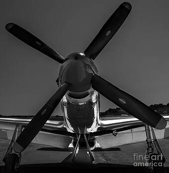 Dale Powell - P-51 Mustang Dale Powell - P-51 Mustang