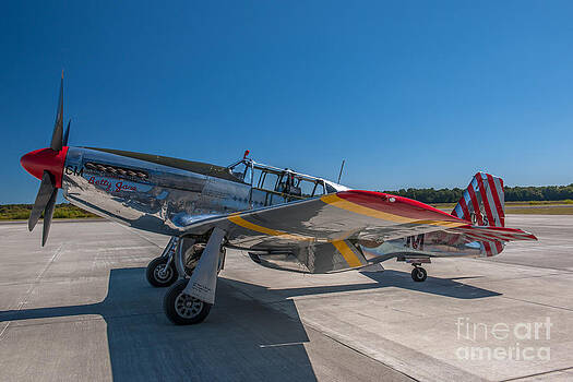 Dale Powell - P51 Mustang Dale Powell - P51 Mustang