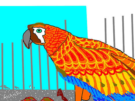 Anand Swaroop Manchiraju - PARROT-2 Anand Swaroop Manchiraju - PARROT-2