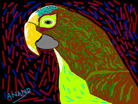 Anand Swaroop Manchiraju - PARROT-3 Anand Swaroop Manchiraju - PARROT-3