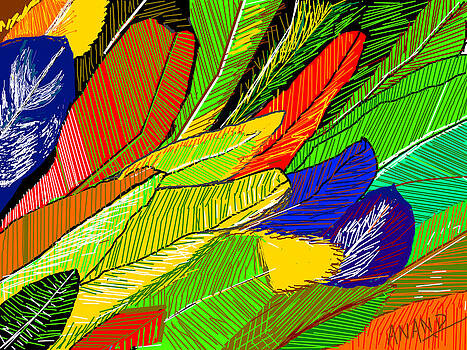 Anand Swaroop Manchiraju - PARROT FEATHERS Anand Swaroop Manchiraju - PARROT FEATHERS