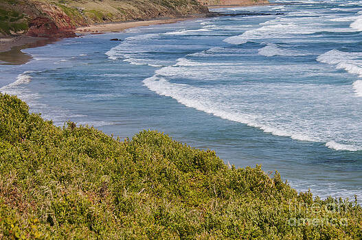 Bob Phillips - Phillip Island Beach Bob Phillips - Phillip Island Beach