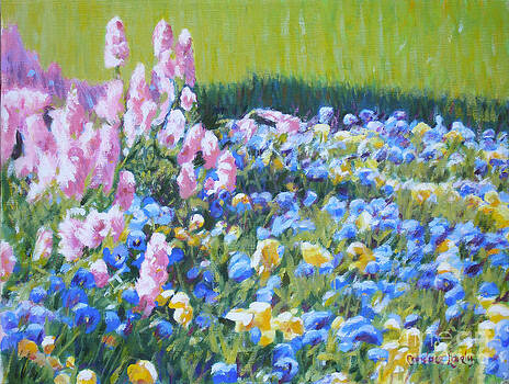 Candace Lovely - Pink and Green Blue and Yellow Candace Lovely - Pink and Green Blue and Yellow