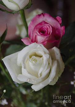 Pravine Chester - Pink and White Pravine Chester - Pink and White
