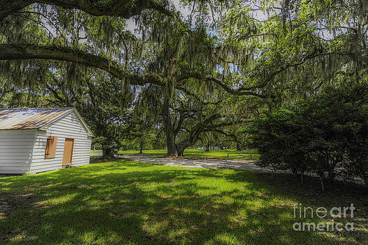 Dale Powell - Plantation Grounds Dale Powell - Plantation Grounds