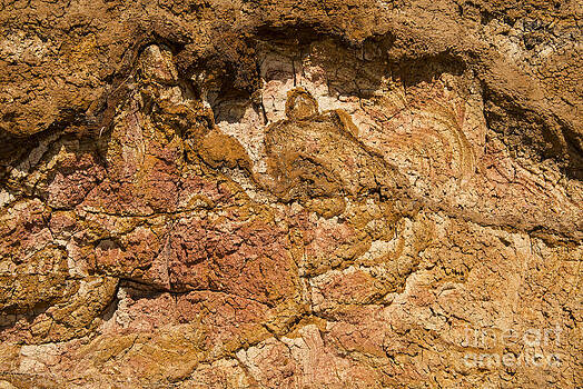 Bob Phillips - Point Addis Rock Design Bob Phillips - Point Addis Rock Design
