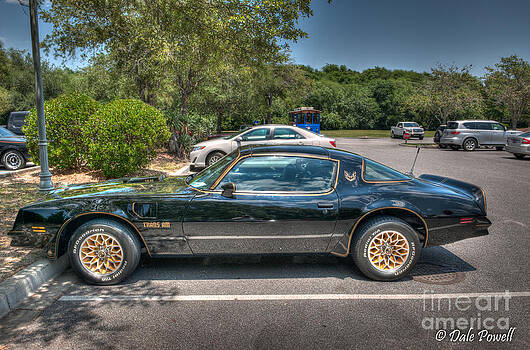 Dale Powell - Pontiac Trans Am Dale Powell - Pontiac Trans Am