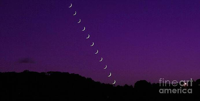 Michael Tidwell - Purple Moon Setting in West Michael Tidwell - Purple Moon Setting in West