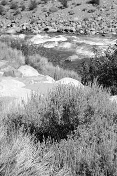 Harold E McCray - Rapids in White Mountains Harold E McCray - Rapids in White Mountains