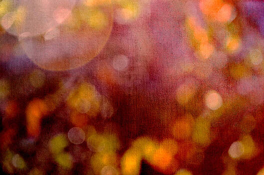 Randi Kuhne - Rich Red Bokeh Randi Kuhne - Rich Red Bokeh