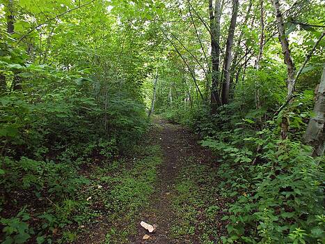Gene Cyr - Riverside Trail Gene Cyr - Riverside Trail