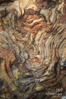 Deb Mitchell Artwork For Sale Hobbs Nm United States