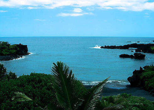 Connie Fox - Rock Bridge Seascape Maui Hawaii Connie Fox - Rock Bridge Seascape Maui Hawaii