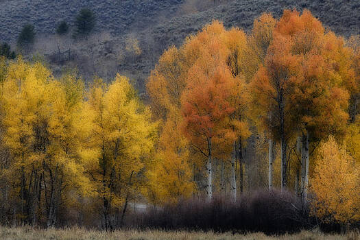 Wes and Dotty Weber - Rocky Mountain Fall Wes and Dotty Weber - Rocky Mountain Fall