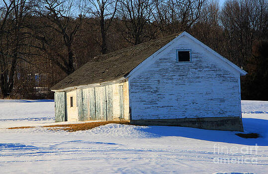 Michael Mooney - Rustic Shack Michael Mooney - Rustic Shack