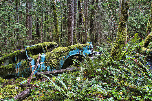 Peggy Collins - Rusty Old Car in the Forest Peggy Collins - Rusty Old Car in the Forest