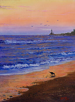 Chris Steele - Sandpiper At Sunset Chris Steele - Sandpiper At Sunset