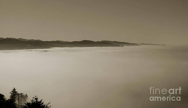 Kathi Shotwell - Sea of Fog Kathi Shotwell - Sea of Fog